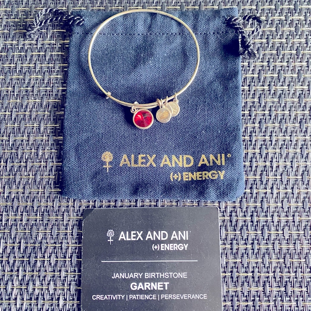 Alex and Ani January birthstone charm bangle.